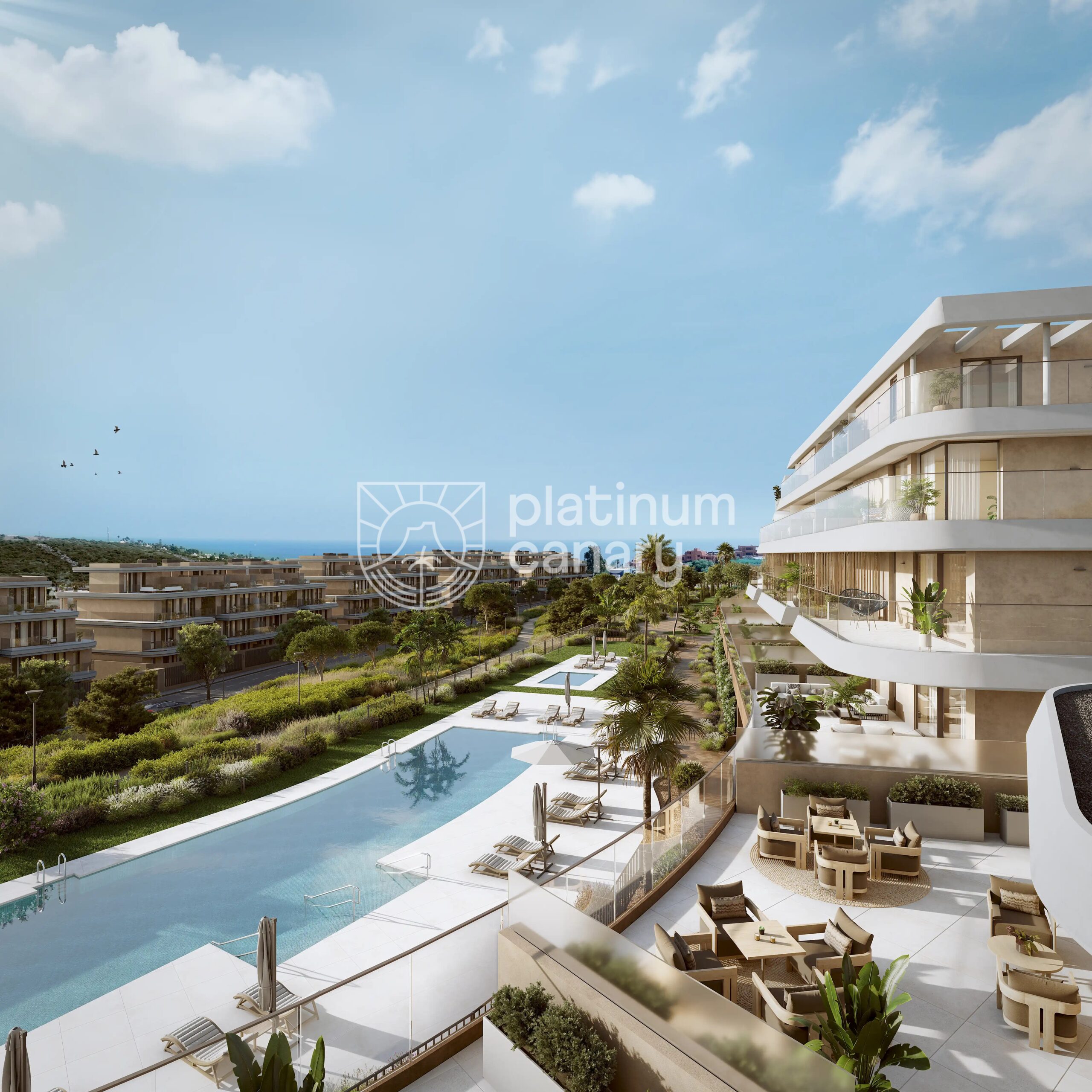 Aedas Estepona II Cam 03 Piscina 03