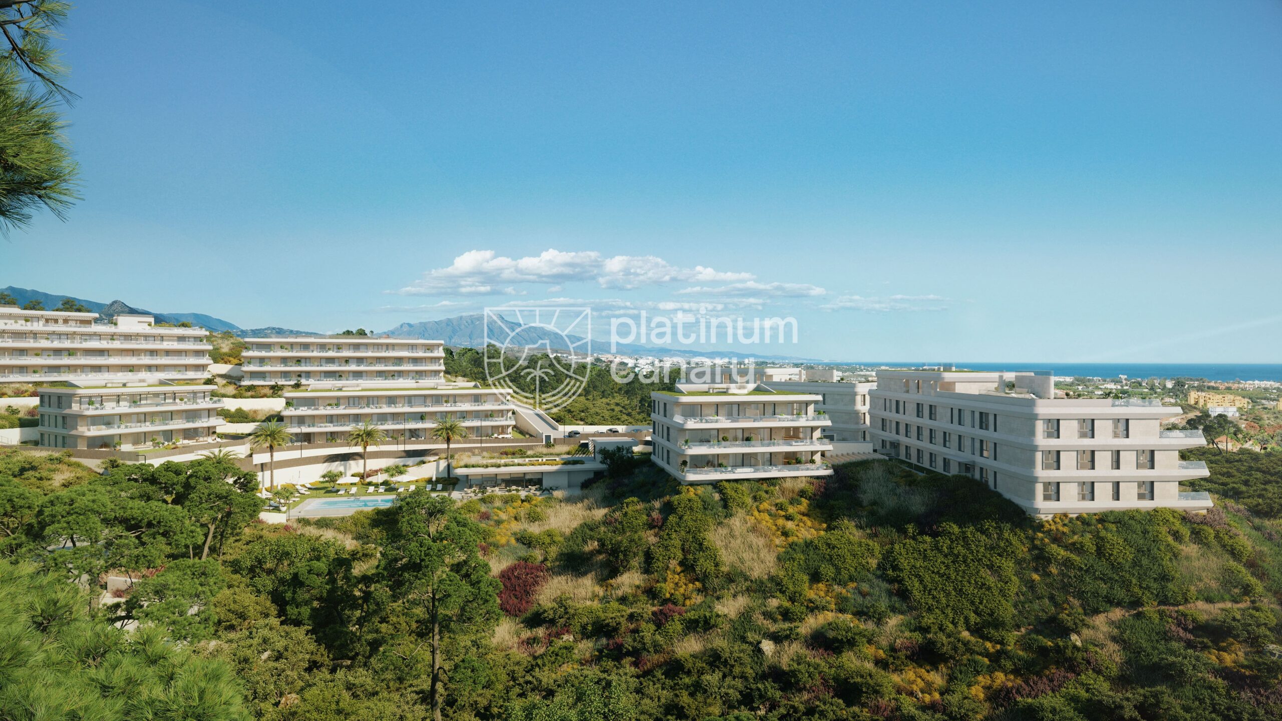 AedasAustralyCamara7 (00000)