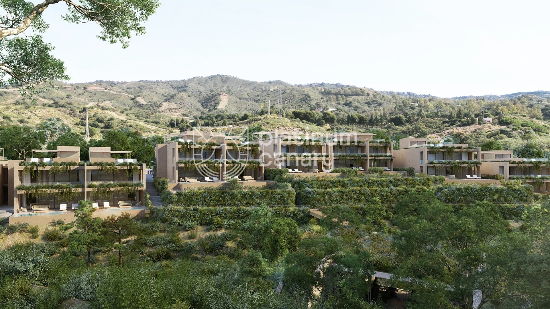 Photo 21-4-25, 20 22 38 (2)