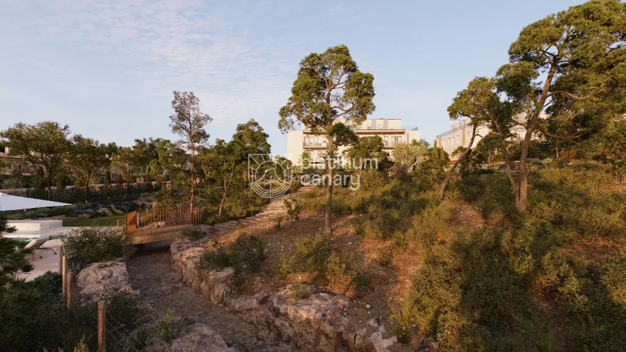 ILEX_Ext_240417_V1_02