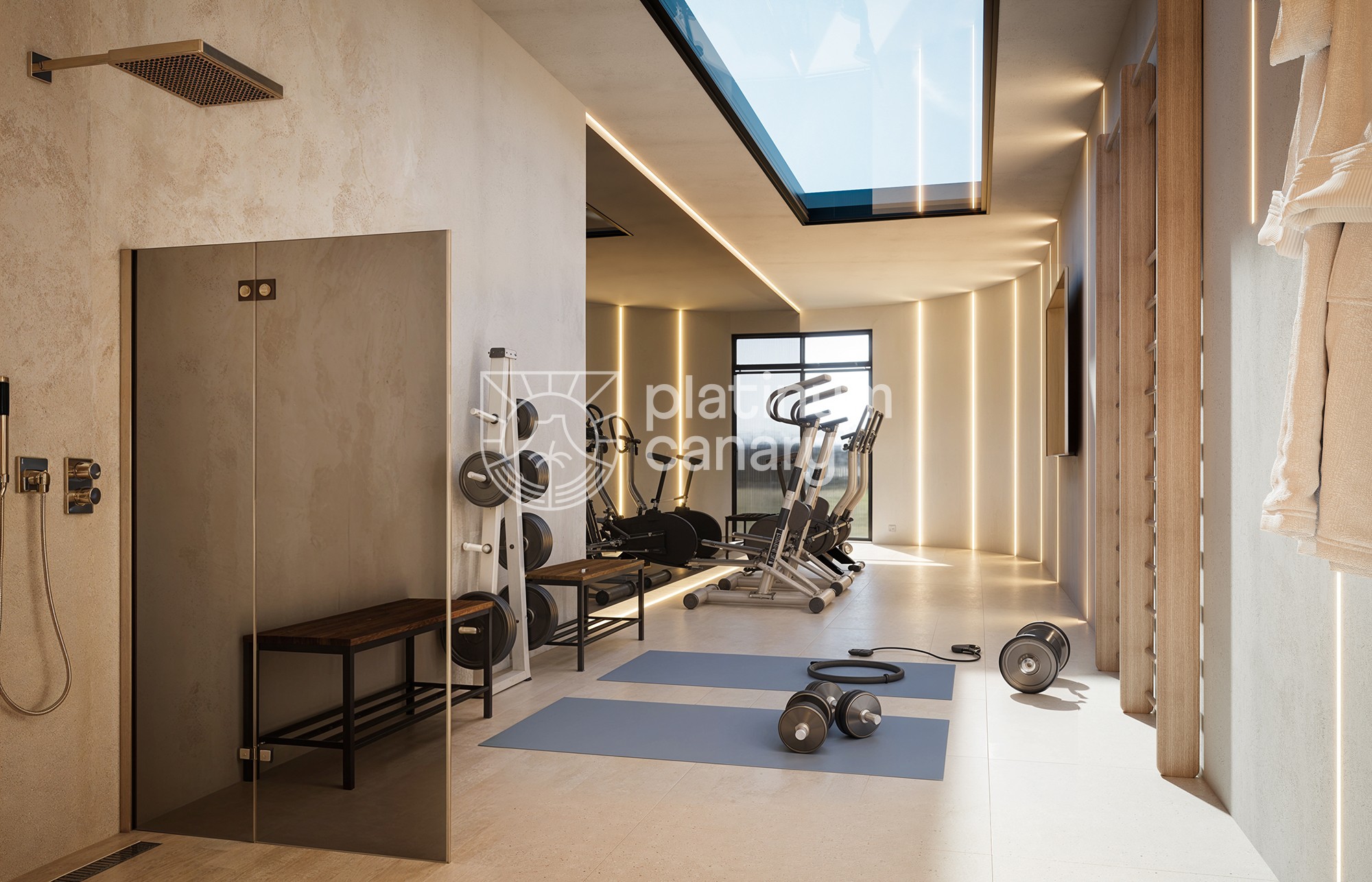 webGimnasio-vista-01 2