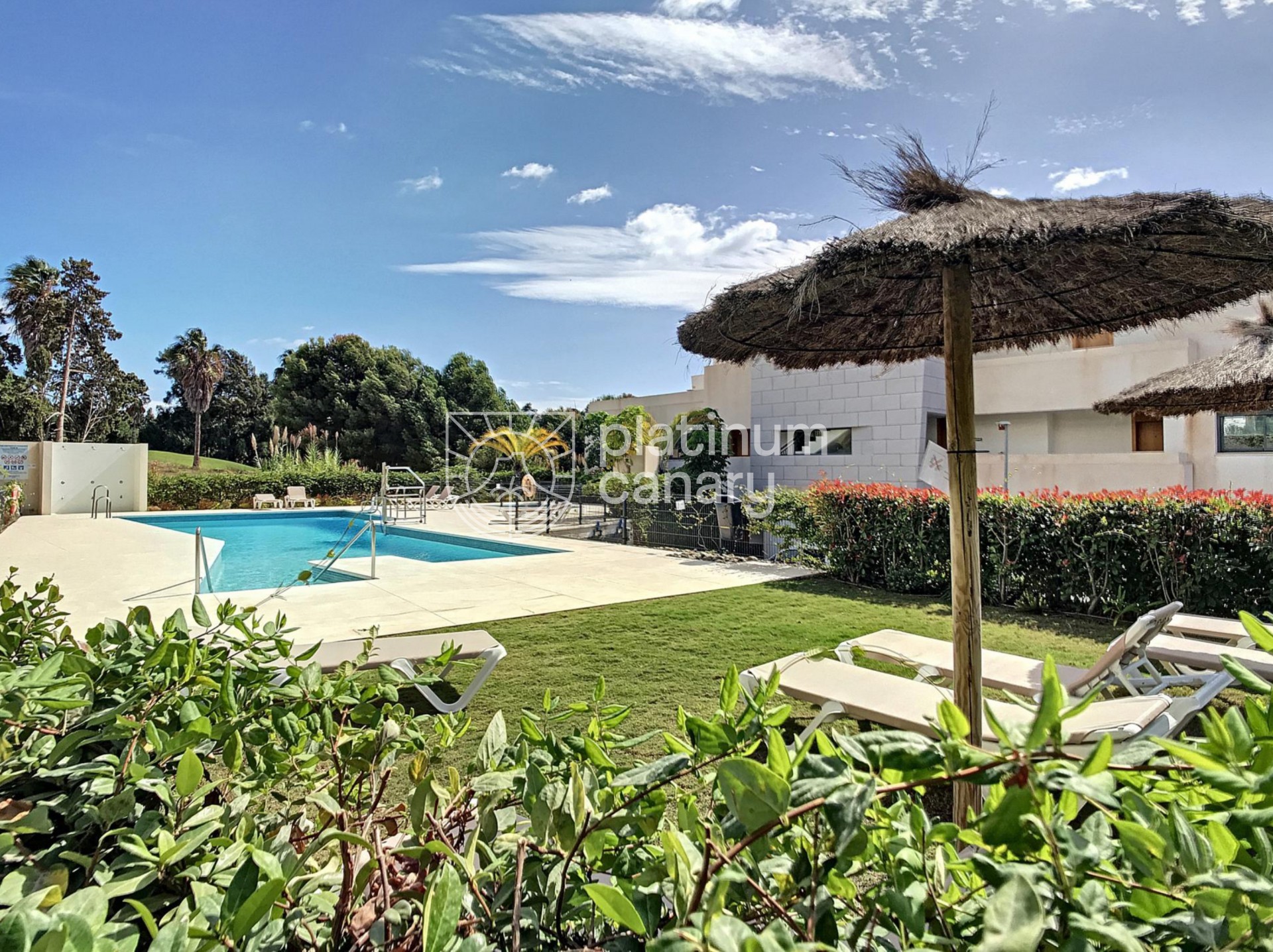 126aca8e-e8de-4b37-b44e-64cac72ff646