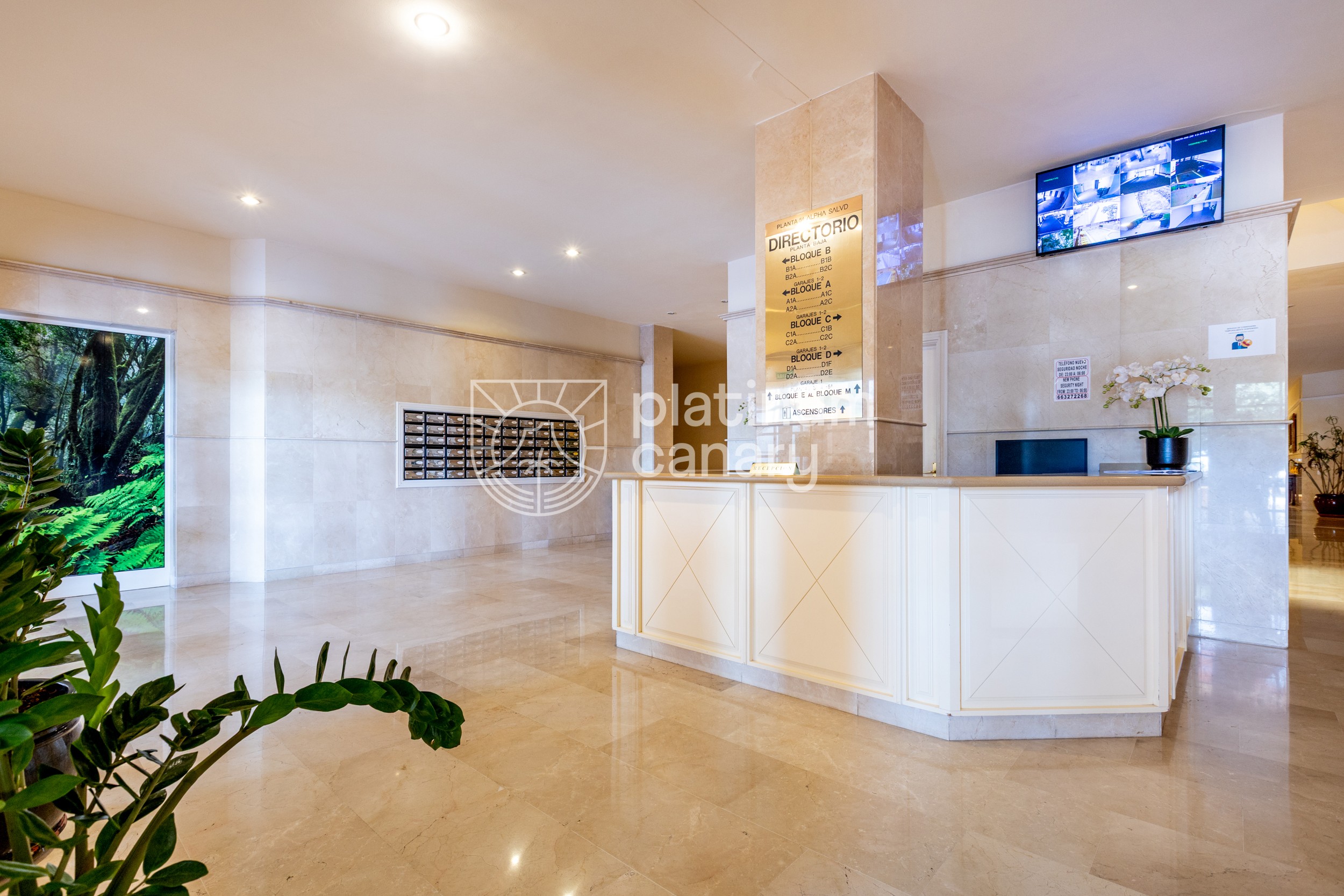 Terrazas del Duque II (8)