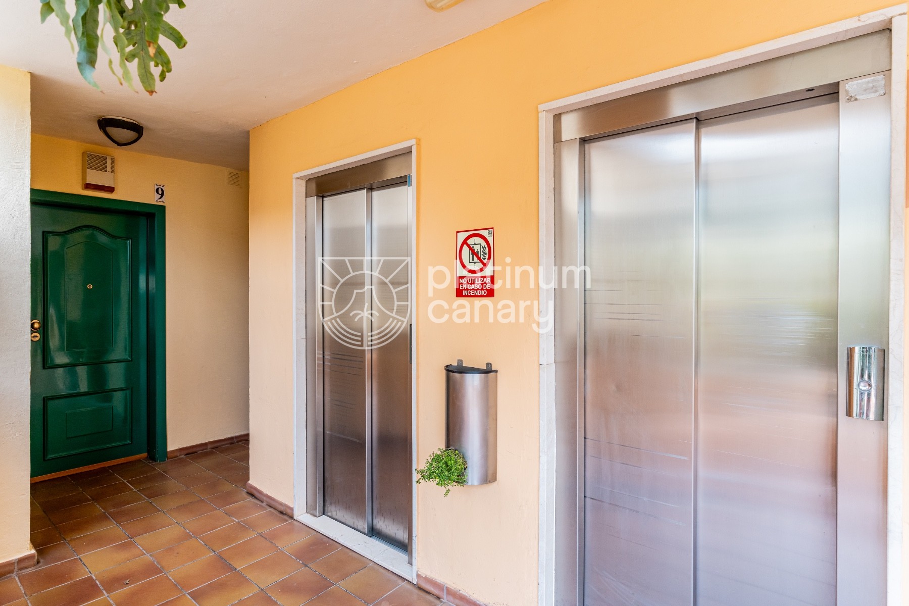 d68233fa57cddf68233fa57ce1b