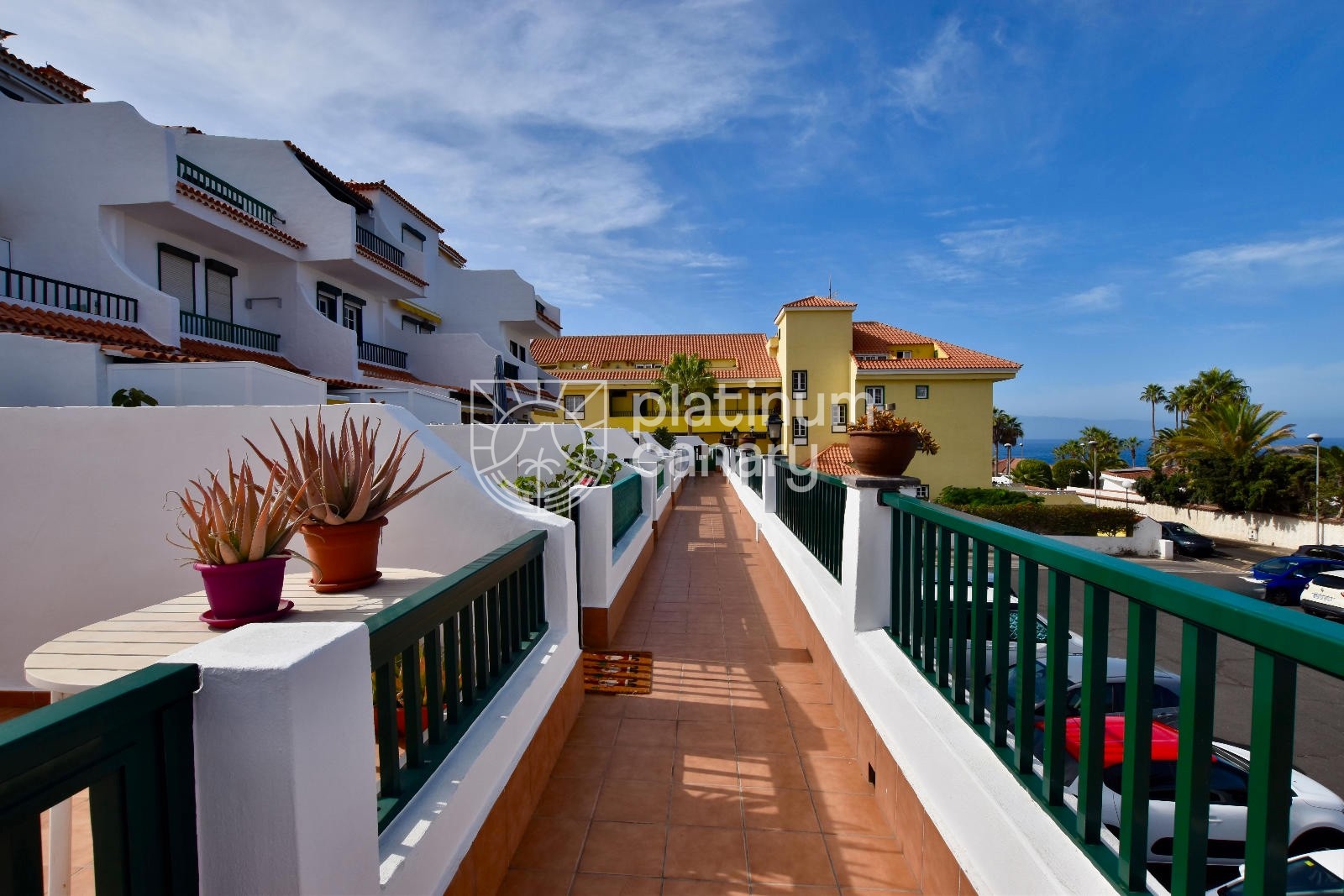 WhatsApp Image 2025-11-04 at 08.01.22 (1)