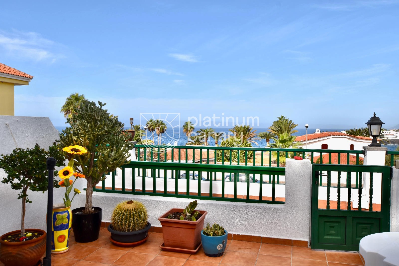 WhatsApp Image 2025-11-04 at 08.01.22 (5)