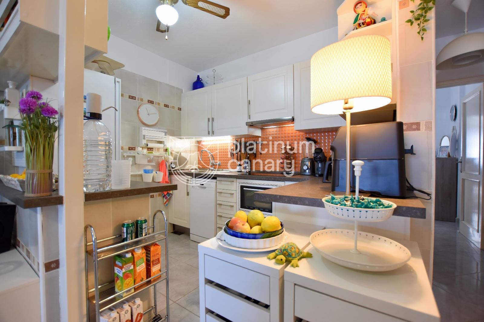 WhatsApp Image 2025-11-04 at 08.01.25 (2)