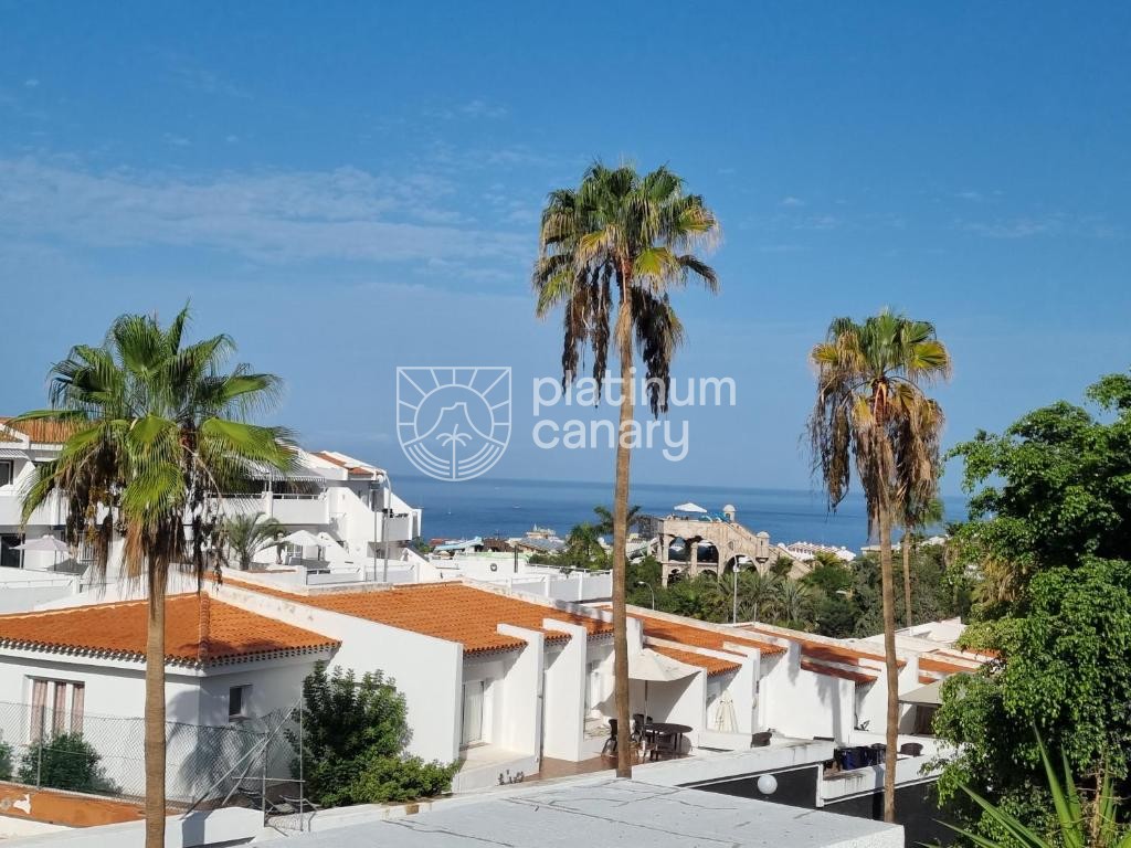 ubytovani-tenerife-casa-de-palmeras-foto10