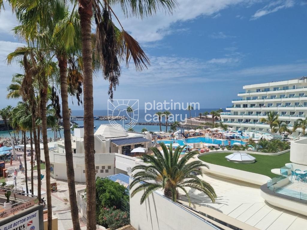 ubytovani-tenerife-casa-de-palmeras-foto7